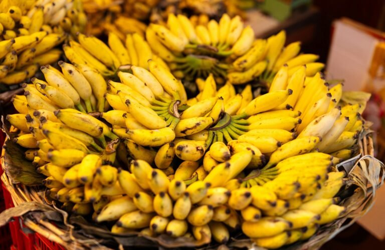 The Profits of Bananas: A Fruit That Fuels Economies